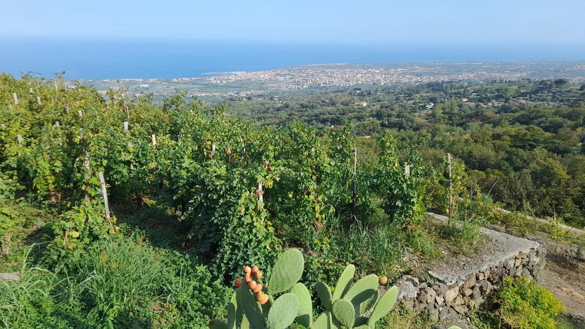 Villa Alberto Puntalazzo 0*,  Italy